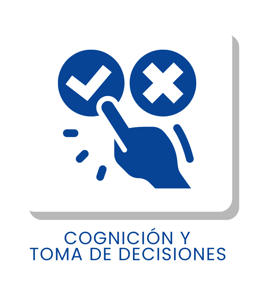 COGNICIÓN Y TOMA DE DECISIONES